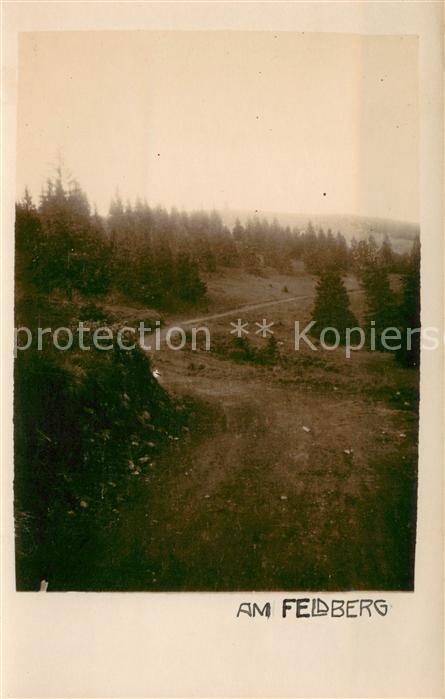 Feldberg Schwarzwald Panorama
