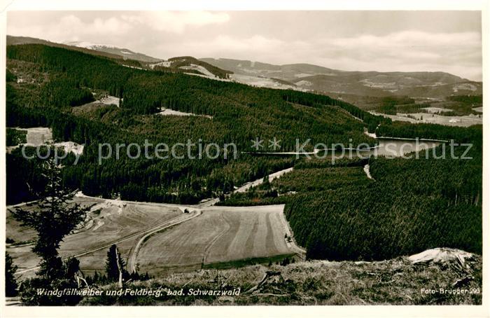 Feldberg Schwarzwald mit Windgfaellweiher