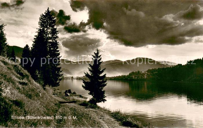 Titisee Panorama