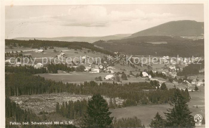 Falkau Panorama