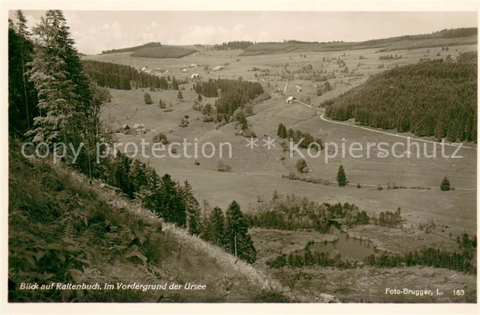 Raitenbuch Lenzkirch Panorama mit Ursee
