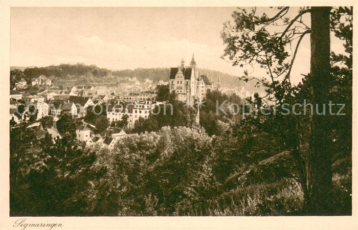 Sigmaringen Panorama