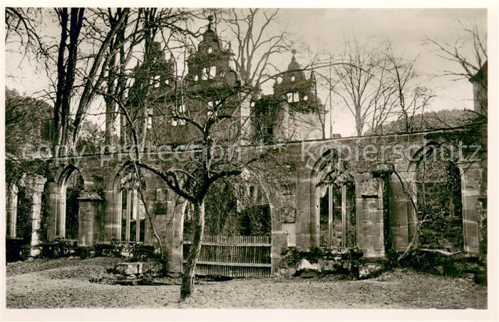 Hirsau Kloster Kreuzgang mit Schlossruine und Ulme
