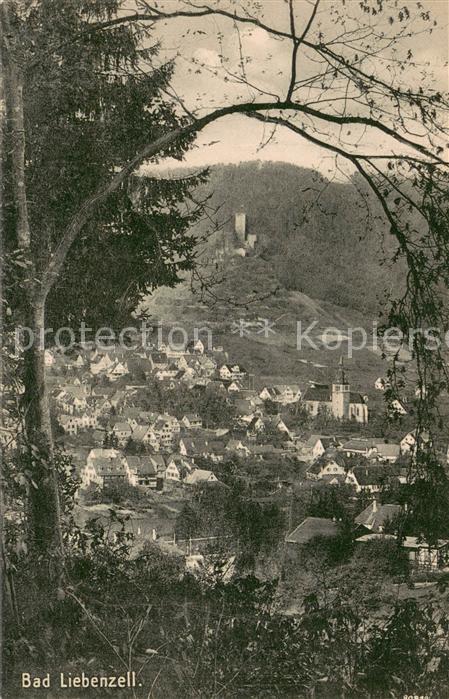 Bad Liebenzell Panorama