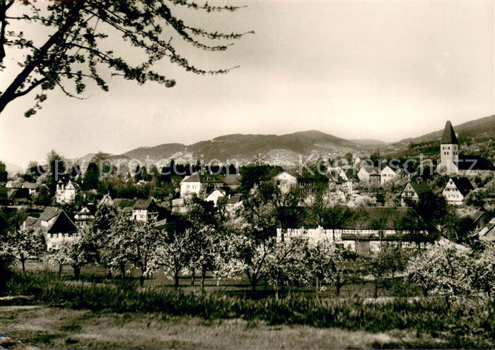 Obersasbach Panorama
