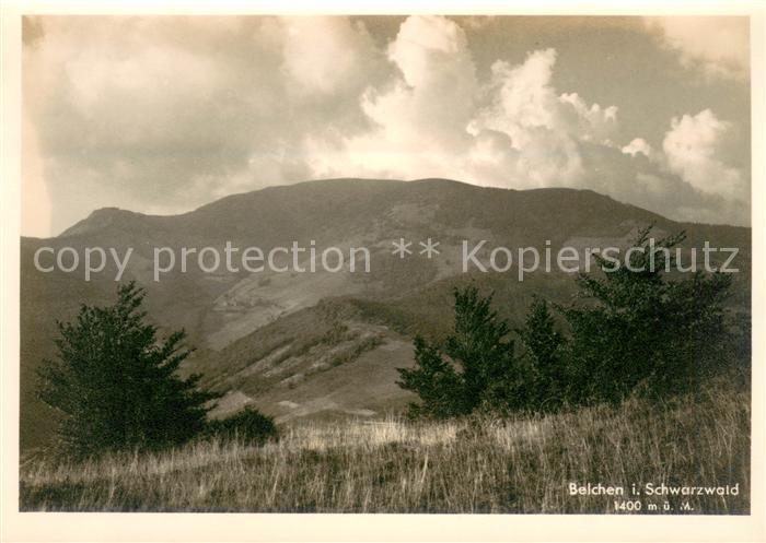 Belchen Baden Panorama