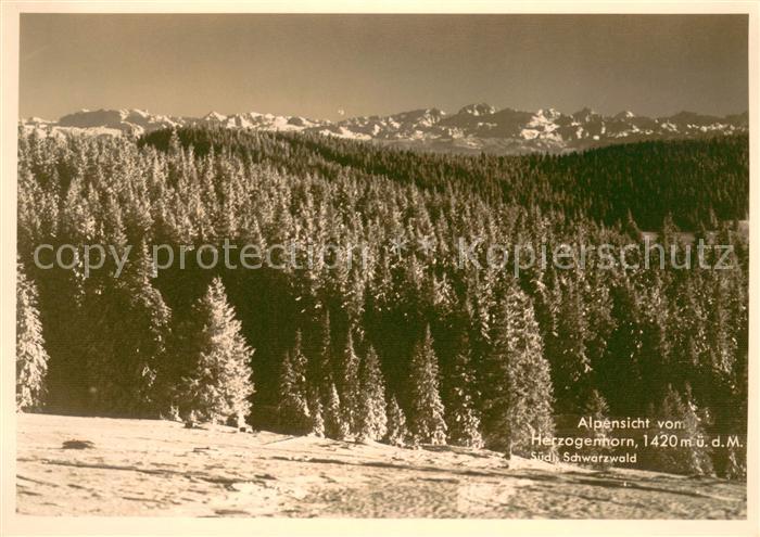 Herzogenhorn Panorama