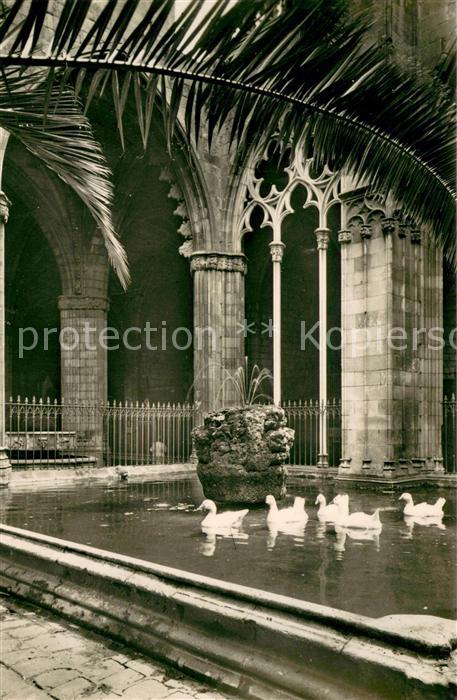 Barcelona Cataluna Catedral Claustro y ocas