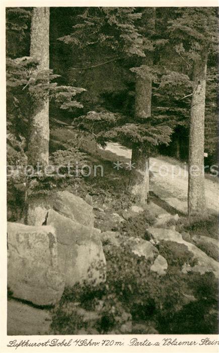 Dobel Schwarzwald Partie am Volzemer Stein