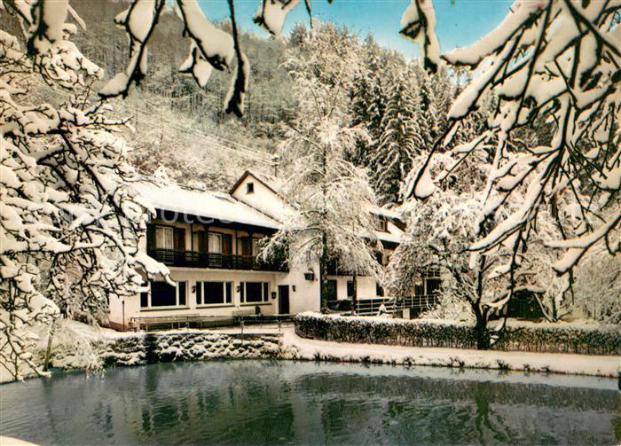 Loecherberg Hotel Pension Schwarzwald Idyll