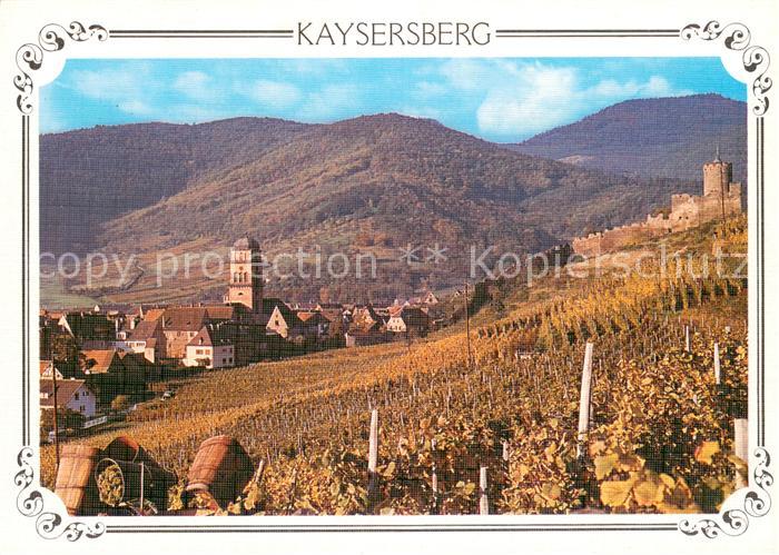 Kaysersberg Haut Rhin Vendanges Au fond l’eglise et le chatea