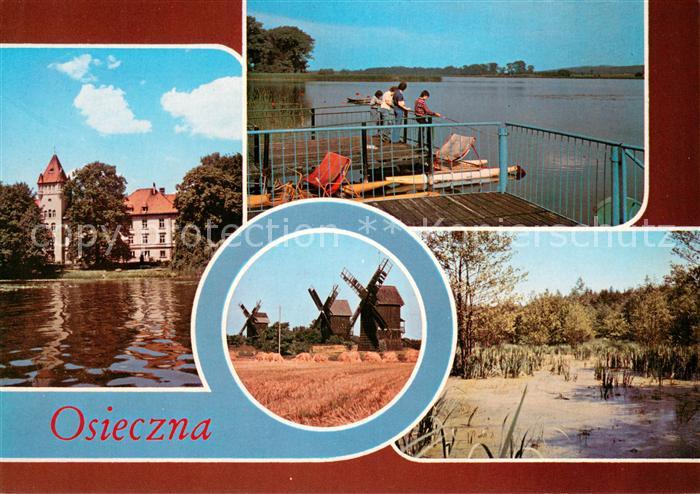 Osieczna Miejscowosc nad Jeziorem Loniewskim Zamek Sanatorium Dzieciece Nad Jezi