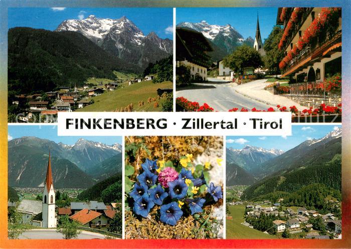 Finkenberg Tirol Panorama Ortspartie Kirche Alpenflora
