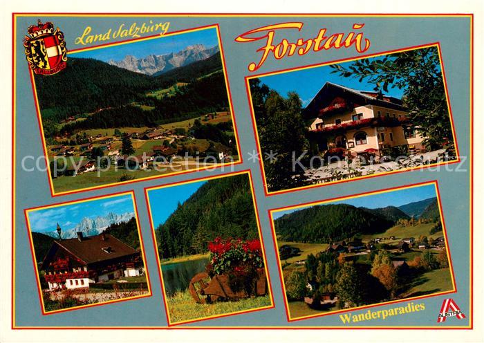 Forstau Panorama Gasthaus Seepartie