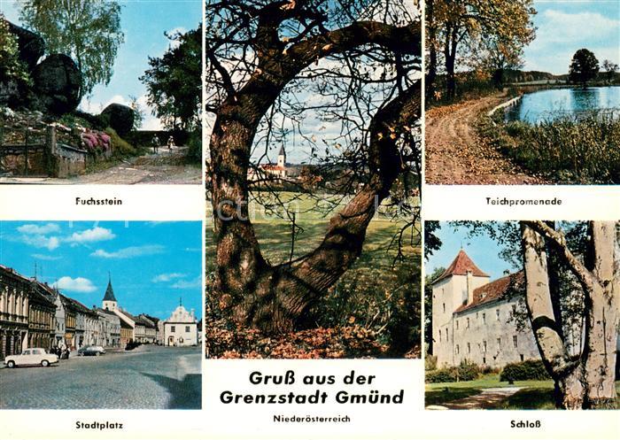 Gmuend Kaernten Fuchsstein Stadtplatz Teichpromenade Schloss