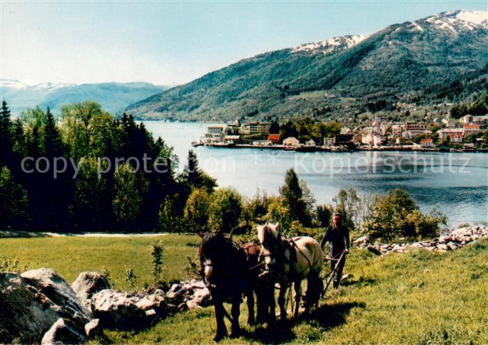 Balestrand Pferdefuhrwerk Dorf am Sognefjord