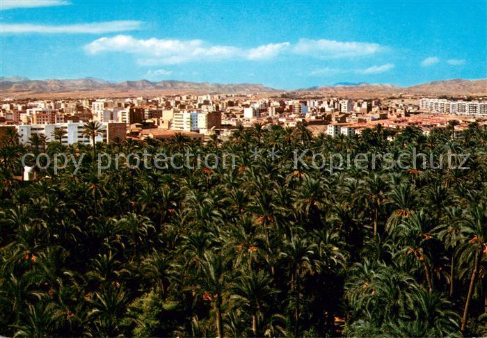 Elche Vista parcial y Palmeral