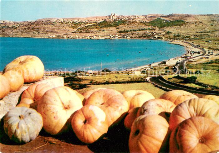 Mellieha Bay K?rbisse