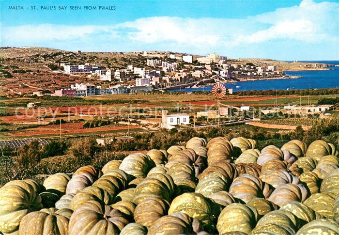 St Pauls Bay Seen from Pwales