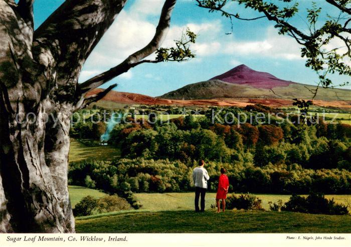 Wicklow Sugar Loaf Mountain