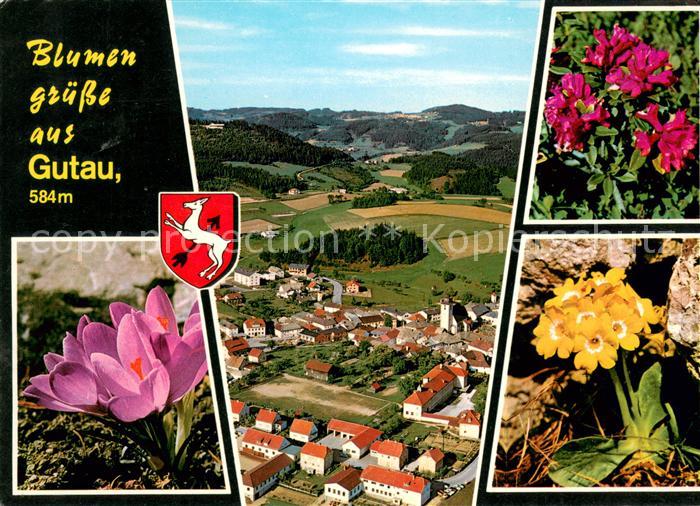 Gutau Pfarrkirche St aegidius Alpenflora