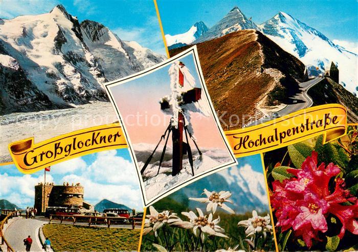 Grossglockner Panorama Hochalpenstrasse Gipfelkreuz Alpenflora
