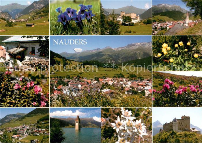 Nauders Tirol mit Reschensee und Schloss Naudersberg Alpenflora