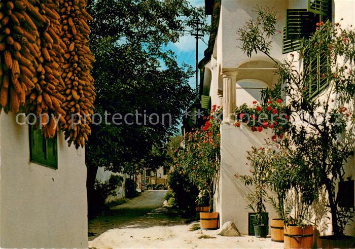 Moerbisch See Heimathaus