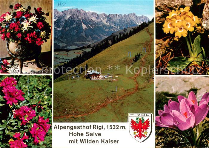 Hopfgarten Brixental Alpengasthof Rigi Hohe Salve Wilder Kaiser Alpenflora