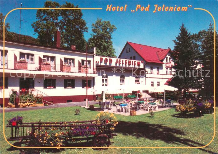 Swieradow Zdroj Bad Flinsberg Kurhotel Pod Jeleniem
