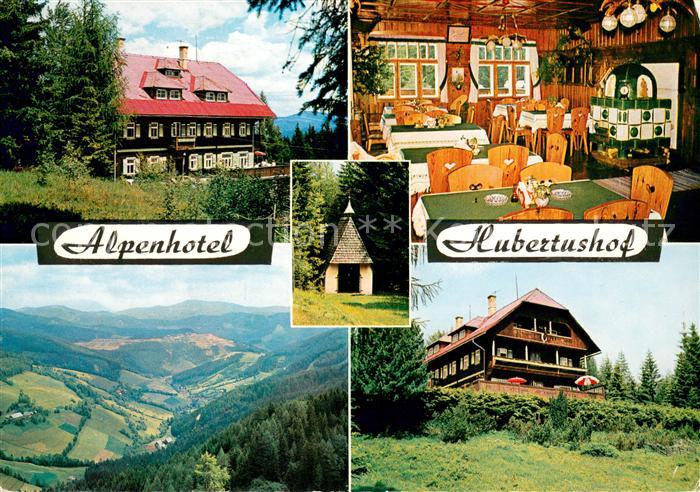 Wartberg Muerztal Alpenhotel Hubertushof Gaststube Panorama