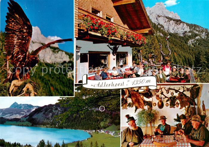 Nesselwaengle Tirol Alpengasthof Adlerhorst Terrasse Gaststube Adler Seepanorama