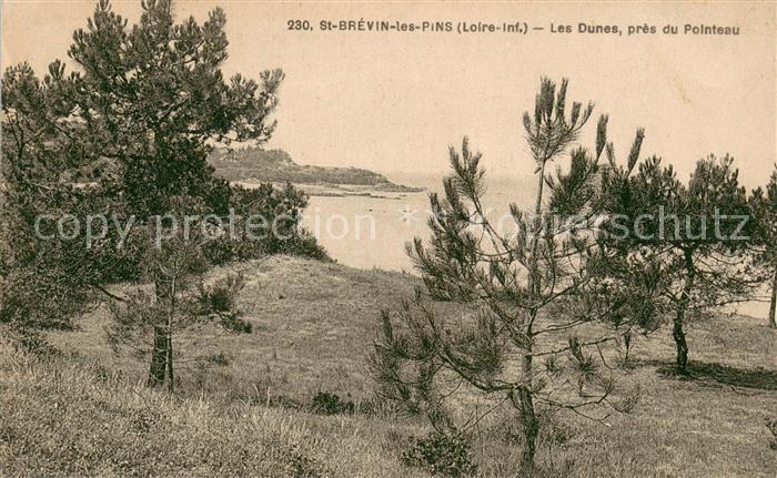 Saint-Brevin-les-Pins Les dunes près du Pointeau