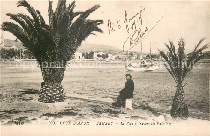 Sanary-sur-Mer Le port a travers les palmiers