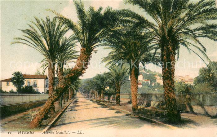Hyeres les Palmiers Avenue Godillot