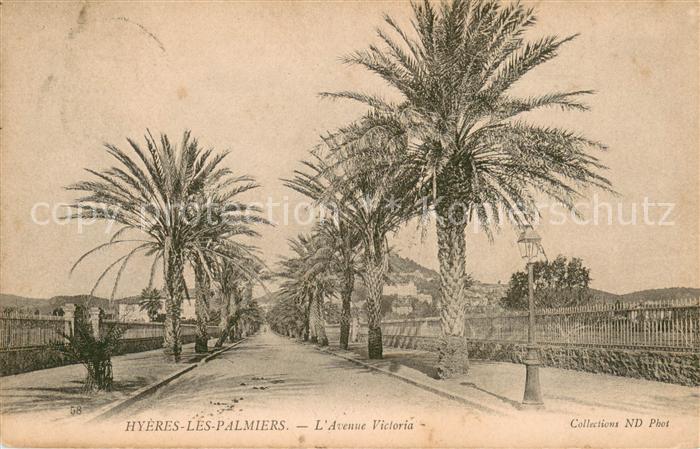Hyeres les Palmiers Avenue Victoria