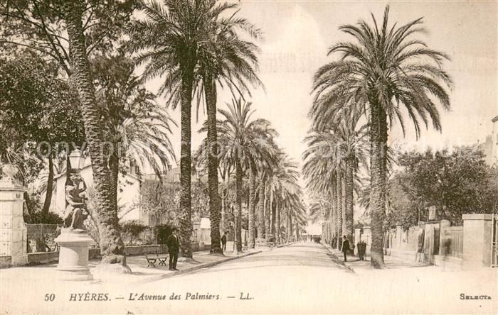 Hyeres les Palmiers Avenue des Palmiers