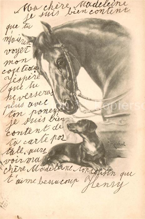 Pferde Hund K?nstlerkarte C. Reichert