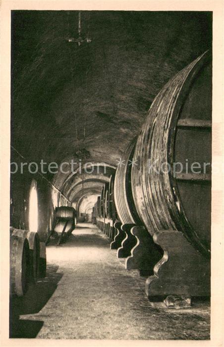 Wein Moet & Chandon Weingut