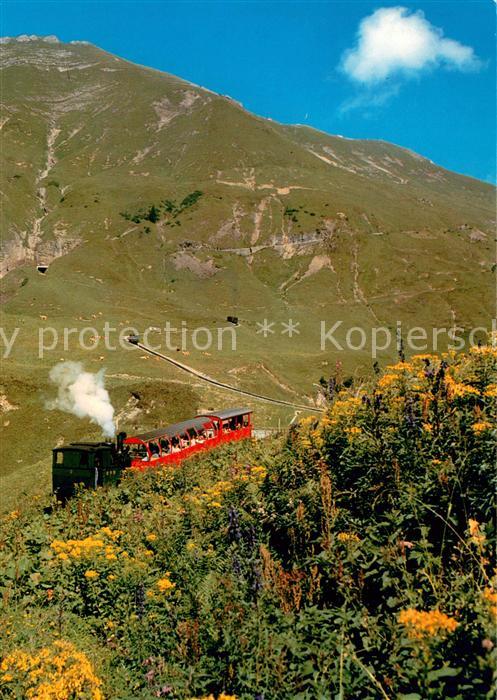 Lokomotive Brienz Rot hornbahn