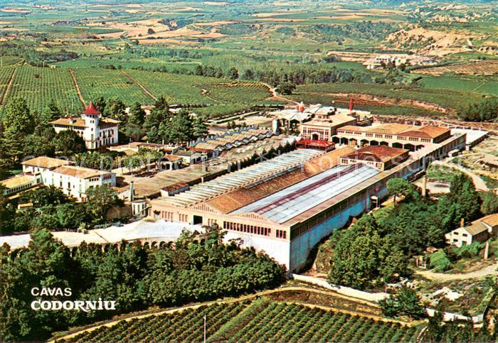 Codorniu Cavas vista aérea