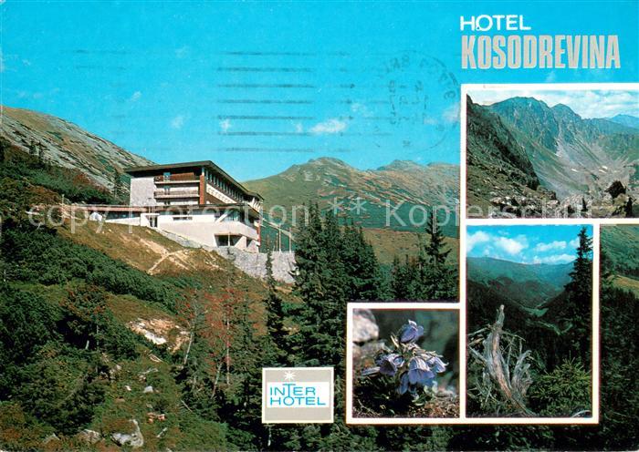 Tale Brezno Hotel Kosodrevina Flora Gebirgspanorama Niedere Tatra