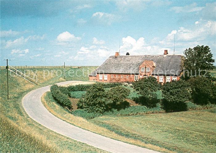 Sterdebuell Schimmelreiterkrug