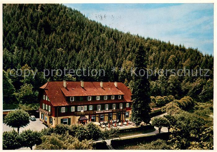 Baden-Baden Waldhotel Fischkultur Fliegeraufnahme