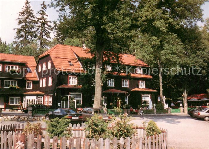 Mandelholz Harz Hotel Restaurant Cafe Gruene Tanne