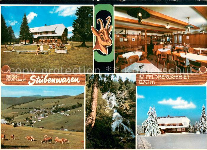 Stuebenwasen Todtnauberg Berggasthaus Stuebenwasen Gaststube Panorama Wasserfall