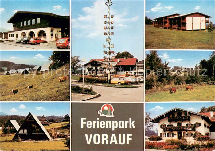 Siegsdorf Oberbayern Ferienpark Vorauf Ferienhaeuser Pferdekoppel Maibaum