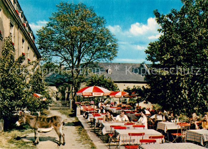 Gattendorf Oberfranken Hotel Schloss Gattendorf Restaurant Freiterrasse Esel