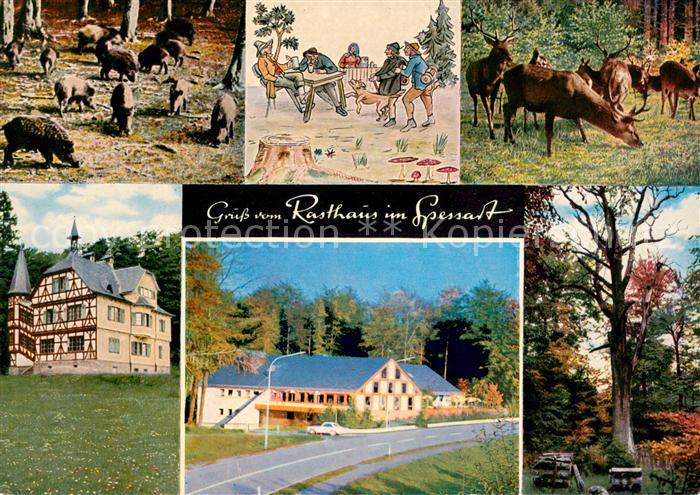 Rohrbrunn Autobahn Rasthaus im Spessart Wildgehege mit Schwarz und Rotwild