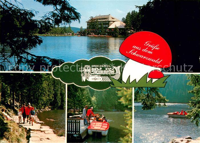 Mummelsee Berghotel Mummelsee Wanderweg Seepartien